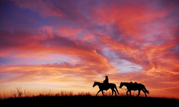 The Cowboy State Riding The Cryptocurrency Chuckwagon